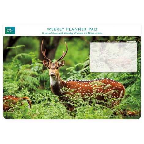 Planer Tygodniowy BBC Chital Deer